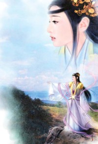 迷蝴蝶